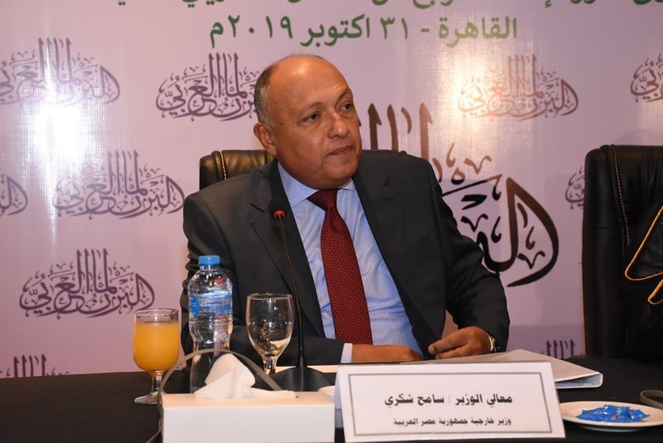 صور.. وزير الخارجية يتناول الأمن المائي وسد النهضة أمام البرلمان العربي
