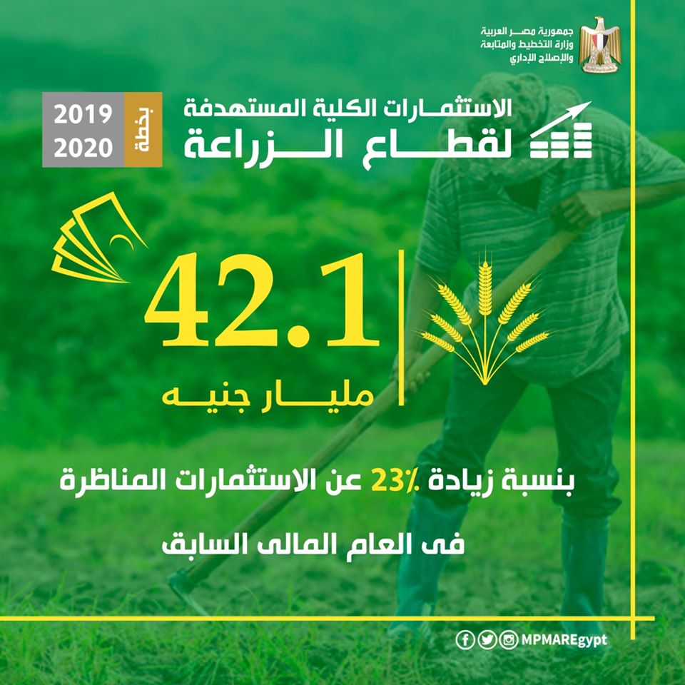 السعيد: 42.1 مليار جنيه استثمارات مستهدفة لقطاع الزراعة بزيادة 23في المائة