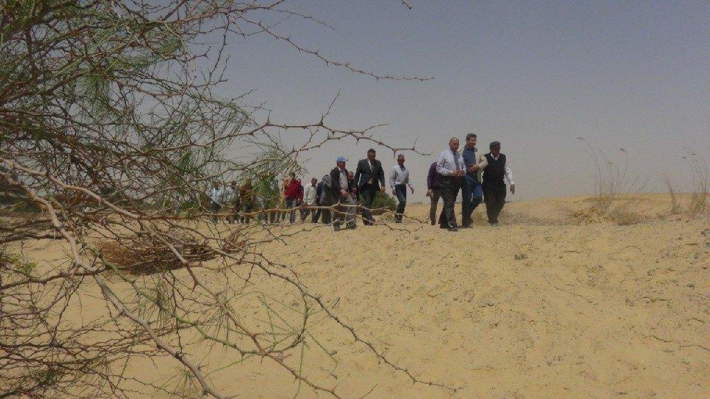 بنظام الزراعة الآلي .. جامعة المنيا تستهدف استصلاح60 فدانًا جديدًا بـ