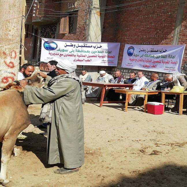 مستقبل وطن ينفذ قافلة بيطرية ببنى سويف 