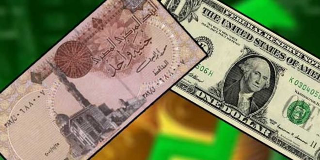 1 - 4 قروش قيمة تراجع سعر الدولار أمام الجنيه في 6 بنوك، وحافظ على استقراره في 5 آخرين