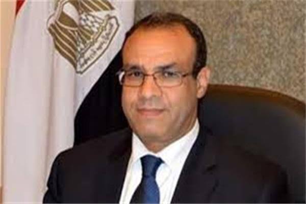 سفير مصر في برلين يستعرض إنجازات مصر بحضور وزير الكهرباء

