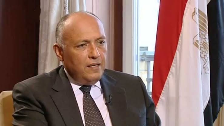 اجتماع مصري تونسي جزائري مرتقب لتنسيق جهود الدول الثلاث حول الوضع في ليبيا
