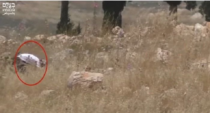 فيديو يجبر الجيش الإسرائيلي على التراجع في اتهامه للفلسطينيين بإحراق حقول المستوطنين بالضفة الغربية