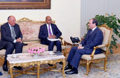 السيسي يستقبل السكرتير العام لمنظمة الفرانكفونية
