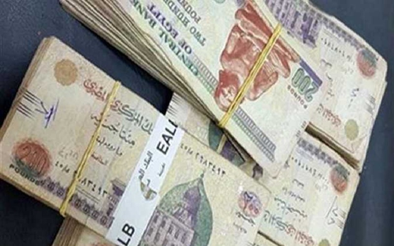 صرف رواتب 6 ملايين عامل بالدولة ابتداء من 23 يونيو