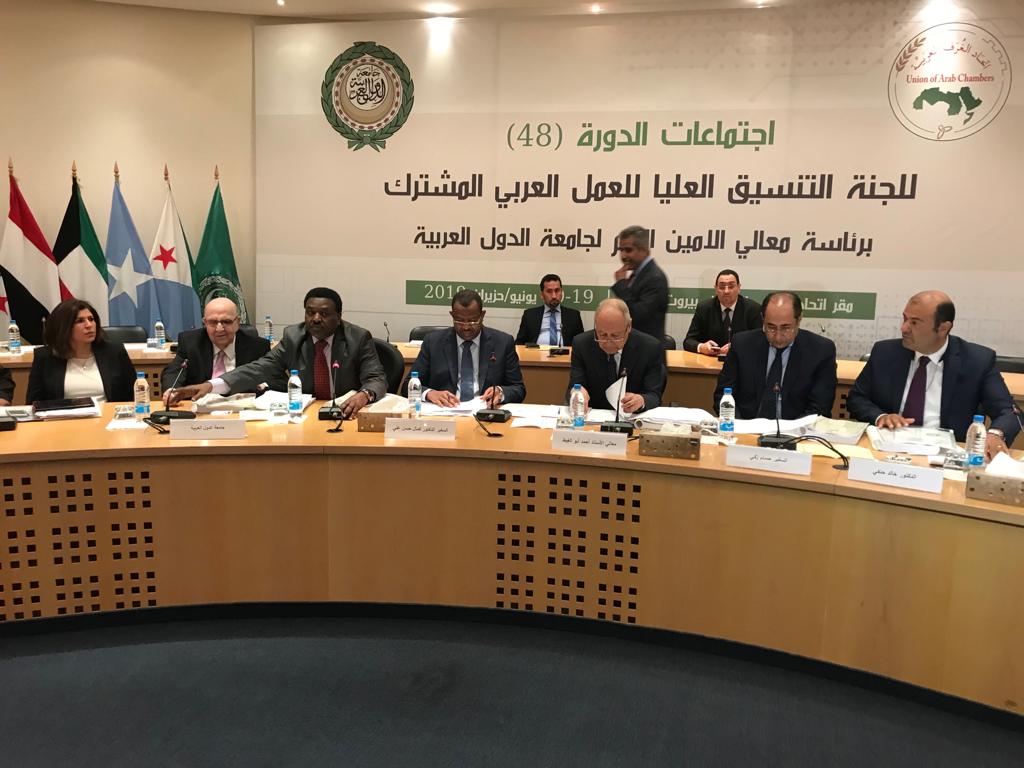 أبو الغيط يؤكد أهمية الارتقاء بالتنسيق ما بين مؤسسات العمل العربي المشترك في المجال التنموي
