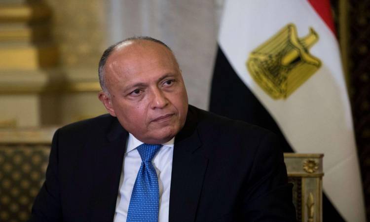 وزير الخارجية: علاقاتنا بروسيا علاقة شراكة استراتيجية

