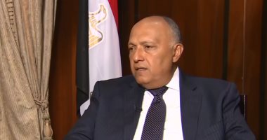 وزير الخارجية: العلاقات المصرية - الروسية تطورت في أعقاب زيارات السيسي وبوتين