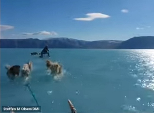 مع ارتفاع الحرارة 17 درجة في غرينلاند، فيديو يكشف عن تغير الحياة هناك