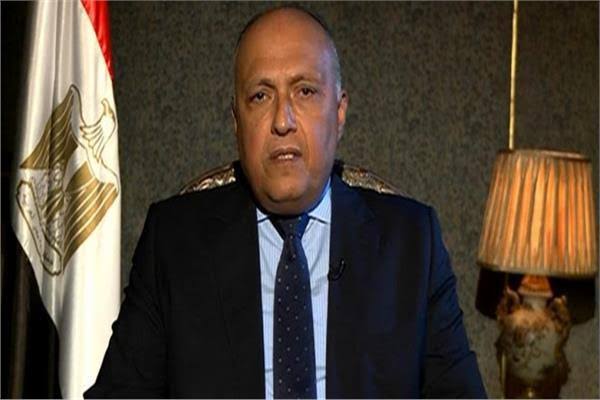 مصر تدين الهجوم الإرهابي على معسكر تابع لجيش النيجر

