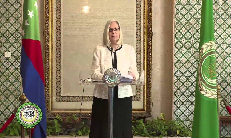 هيفاء أبو غزالة لجنة الحقوق الإنسان تناقش الانتهاكات الإسرائيلية وصياغة خطط مرحلية للاستراتيجية العربية 