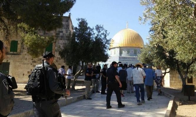 عضو بالكنيست و74 مستوطنا يقتحمون المسجد الأقصى.. وقوات الاحتلال تعتقل شابا من البلدة القديمة