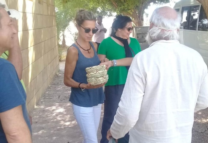 آثار تل العمارنة بالمنيا تستقبل وفداً سياحياً متعدد الجنسيات