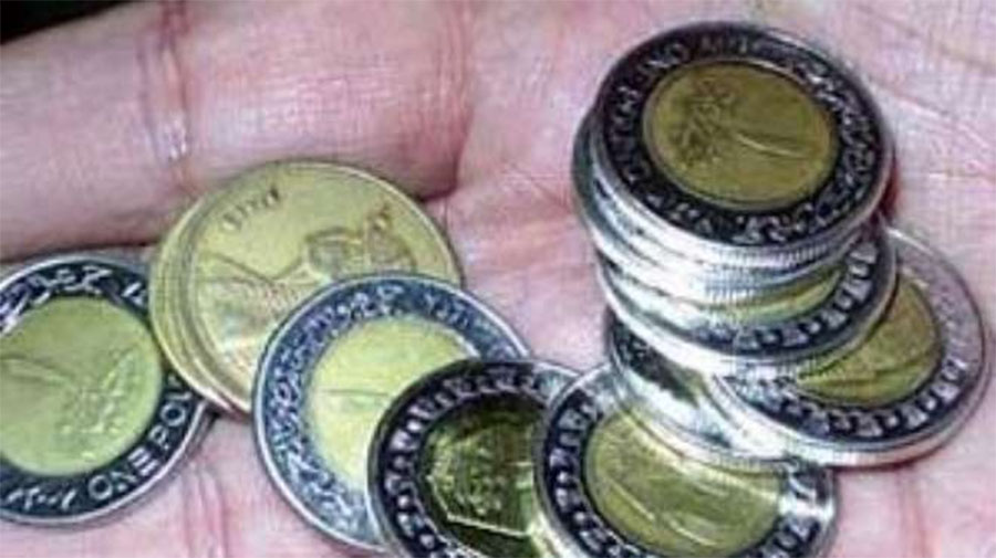 كميات إضافية من «الفكة» فى العيد و ١,٥مليون جنيه الطاقة الإنتاجية يوميًا