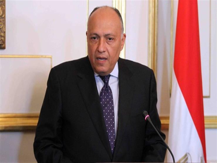 وزير الخارجية الجزائري يقيم مأدبة غداء تكريما لسامح شكري
