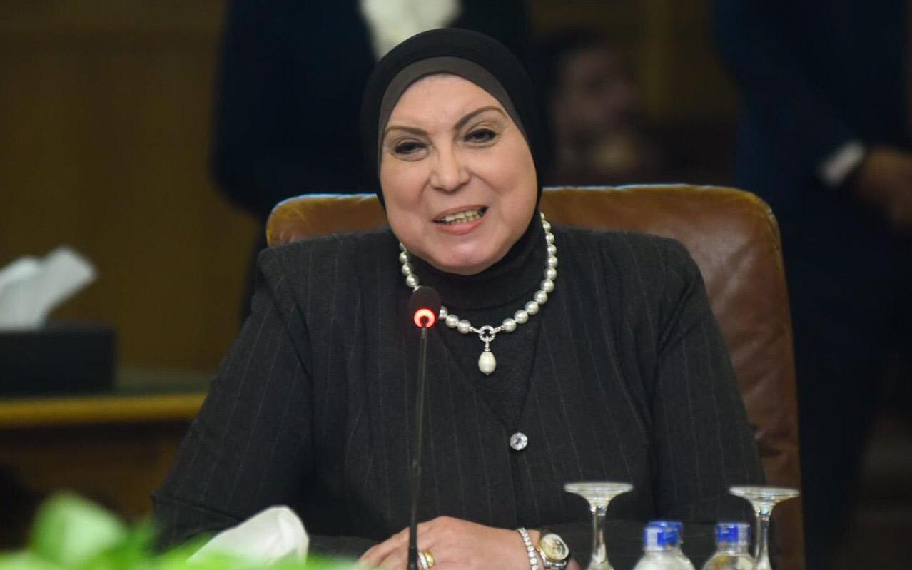 جامع: تسليم 47 وحدة إنتاجية لمصانع الغراء بالروبيكي بـ 200 مليون جنيه