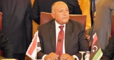 وزير الخارجية: مصر وكامل مؤسساتها ستتخذ كل السبل لحماية مصالحها وحقوقها المائية 
