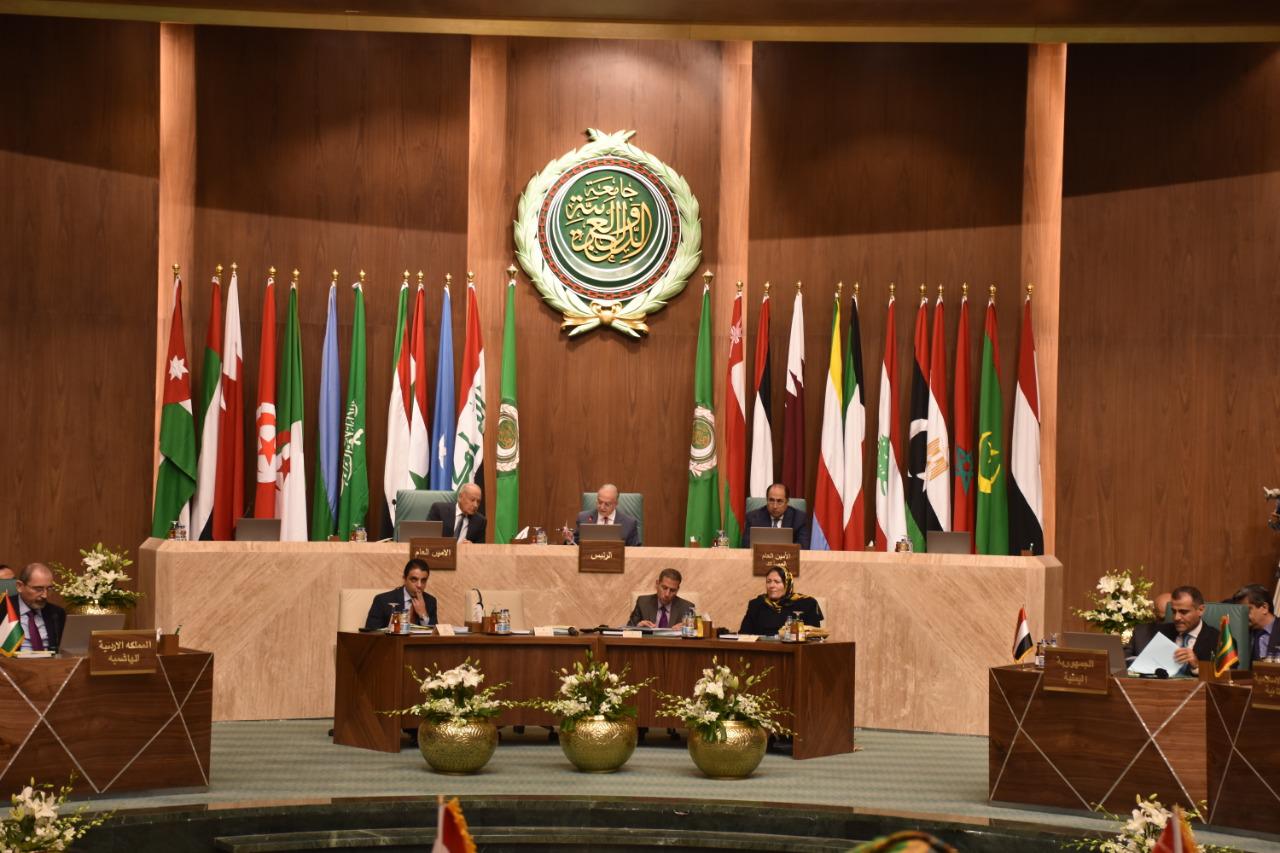 أبو الغيط يدعو إلى ضرورة إيجاد حلول عربية للأزمات في المنطقة