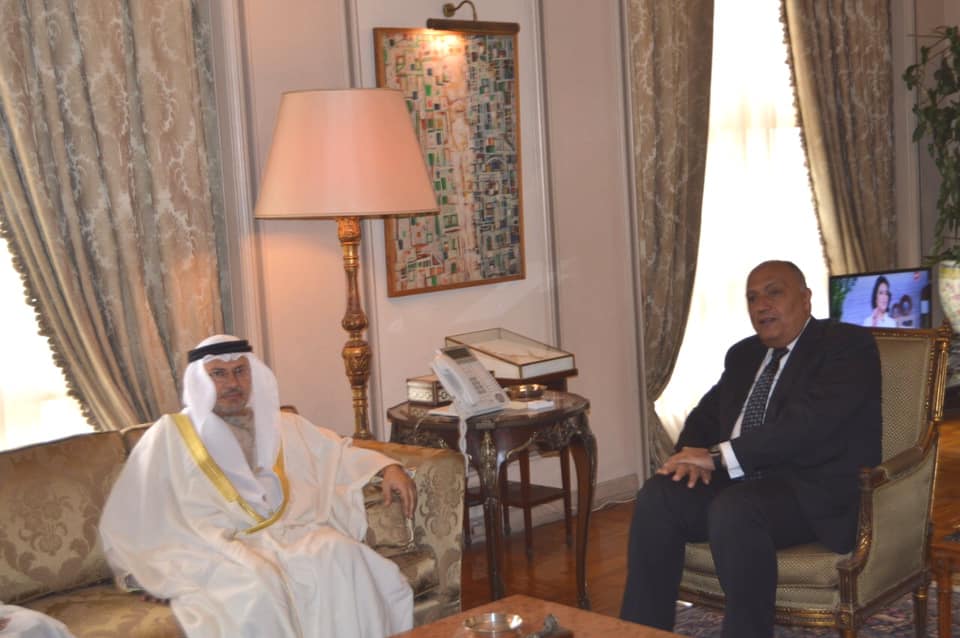 تفاصيل لقاء وزير الخارجية و وزير الدولة للشئون الخارجية الإماراتي 