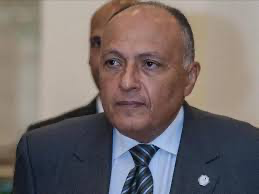 وزير الخارجية يقوم بجولة عربية حاملاً رسالة من الرئيس السيسي
