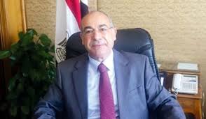 مصر تؤكد أهمية التحرك العاجل للحفاظ على الأمن الغذائي في أفريقيا لمواجهة كورونا
