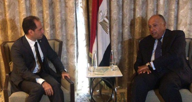 شكرى يبحث مع رئيس حزب 