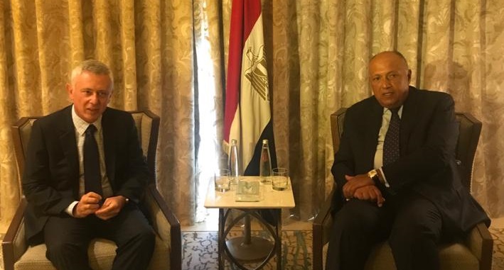 وزير الخارجية يبحث مع رئيس تيار المردة اللبناني آليات دعم بيروت
