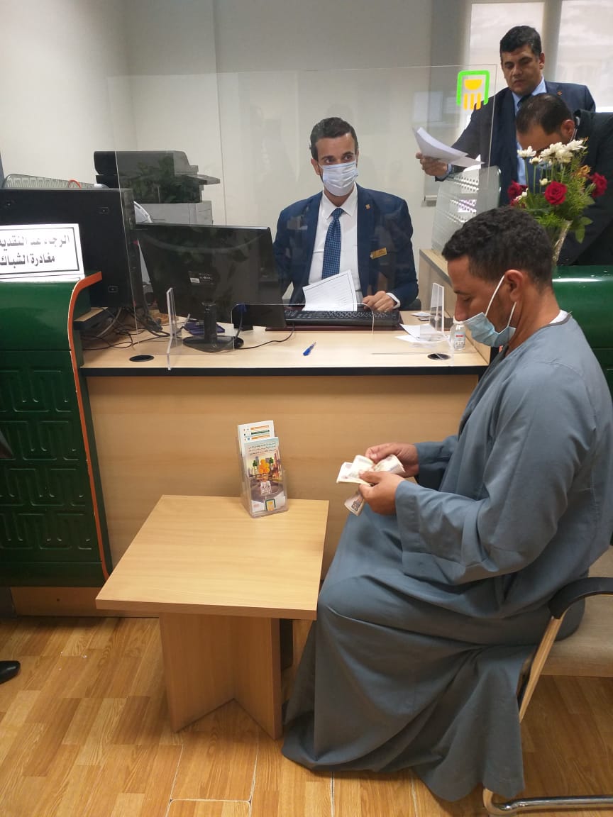 القطاع الخاص يفوز بمزيد من المزادات على الأقطان في الفيوم وبني سويف