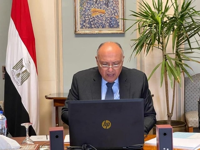  شكري يشارك في الاجتماع التنسيقي للاتحاد الأفريقي والتجمعات الاقتصادية الإقليمية