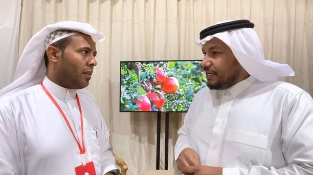 السعودية : رمان القصيم حقق مبيعات تجاوزت المليونين خلال 3 أيام
