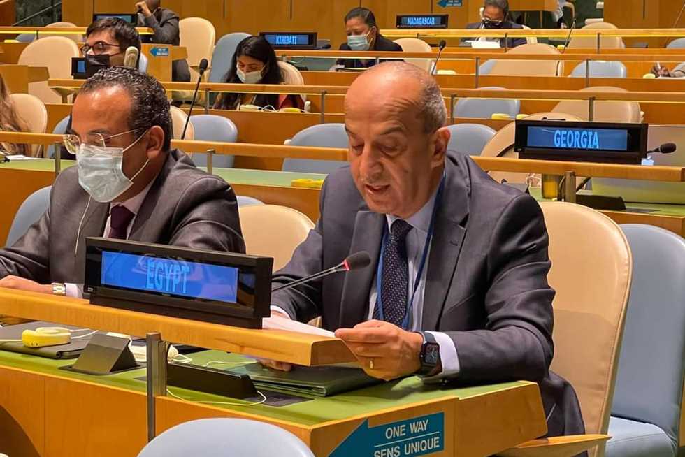 فوز مصر بعضوية لجنة القانون الدولي بنيويورك

