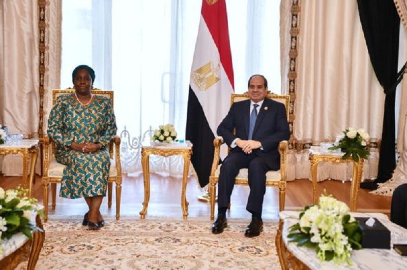 الرئيس السيسي يلتقي سكرتير عام منظمة الكوميسا