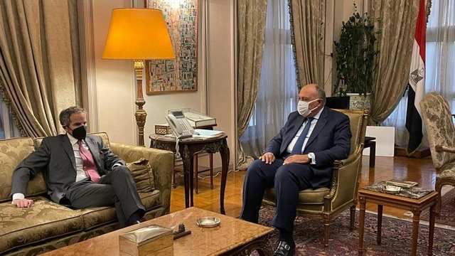 وزير الخارجية يستقبل المدير العام للوكالة الدولية للطاقة الذرية