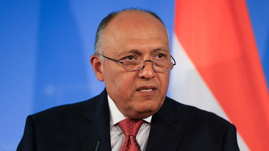 وزير الخارجية بالبرلمان : الرئيس حريص على تفعيل العلاقات المصرية مع إفريقيا

