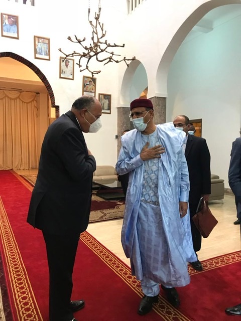 وزير الخارجية يسلم رسالة من السيسي إلي نظيره النيجري 