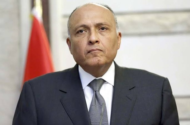 وزير الخارجية يبحث مع نطيريه الفرنسي والأيرلندي تطورات أحداث القدس وغزة