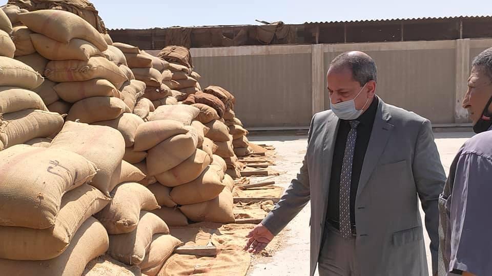 شون وصوامع المنيا تستقبل 296 ألف طن من الأقماح