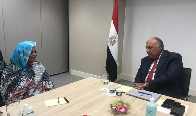سد النهضة.. شكري ونظيرته السودانية ينسقان لجلسة مجلس الأمن فى نيويورك