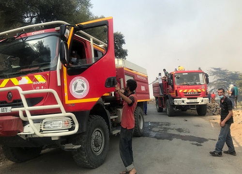 الجزائر: إخماد 43 حريقاً في 20 ولاية خلال 24 ساعة

