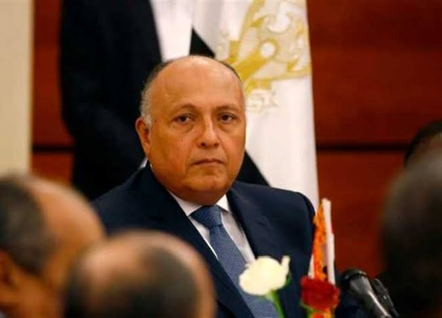 غدا.. وزير الخارجية يلتقي نظيره الياباني بمقر الوزارة