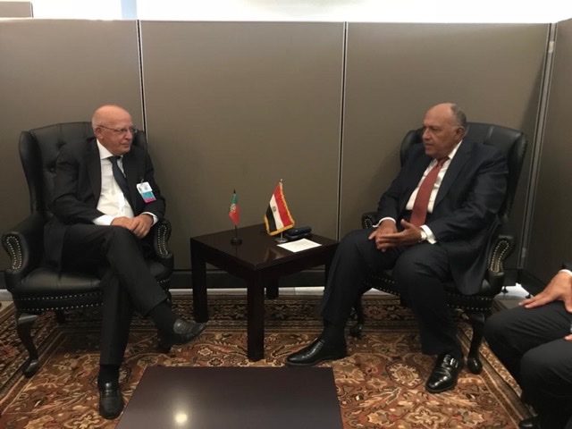شكري يجري مباحثات مع نظيريه البرتغالي والسنغالي