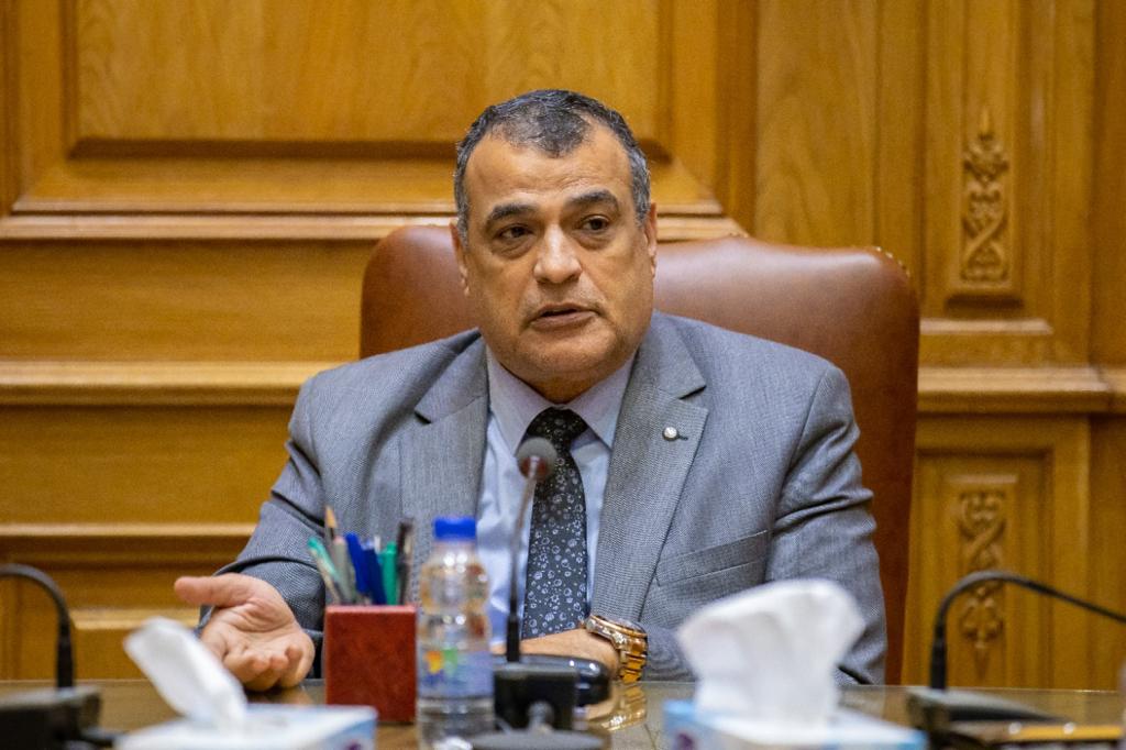 وزير الدولة للإنتاج الحربي يبحث مع رئيسة 
