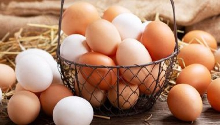 استقرار أسعار البيض اليوم الأربعاء، وطبق البيض البلدي  يسجل 80 جنيه
