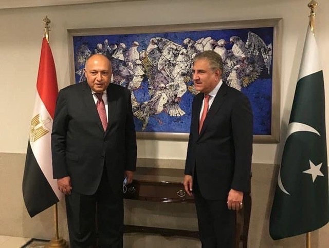 خلال جولته الآسيوية.. وزير الخارجية يلتقي نظيره الباكستاني 