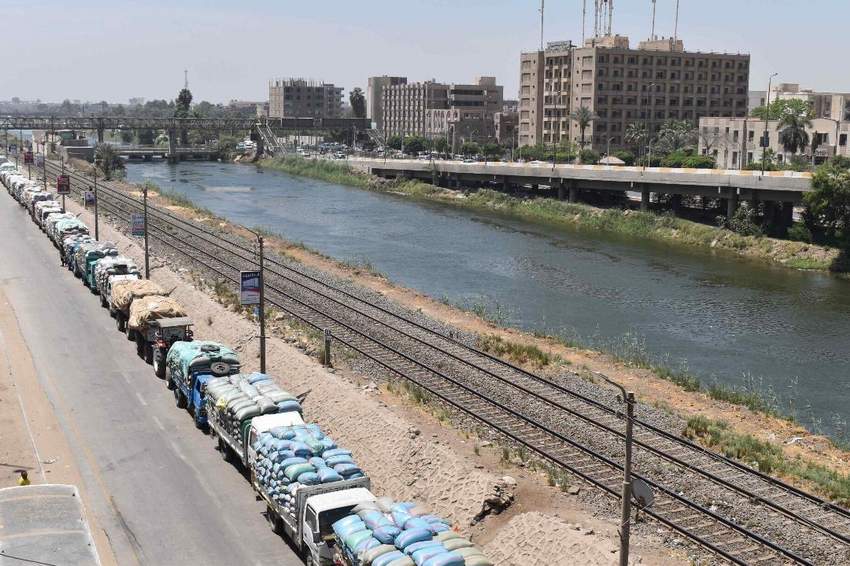 شون وصوامع المنيا تستقبل 226 ألف طن من محصول القمح بالشون والصوامع الحكومية