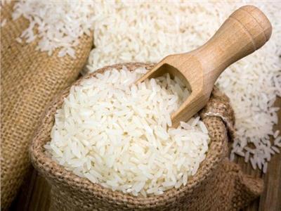 شعبة الأرز تشيد بقرار 