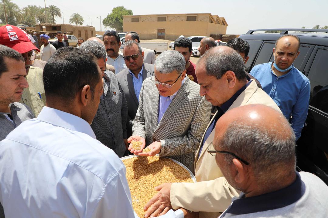 شون وصوامع المنيا تستقبل 309 ألف طن من محصول القمح بجميع مراكز محافظة المنيا 