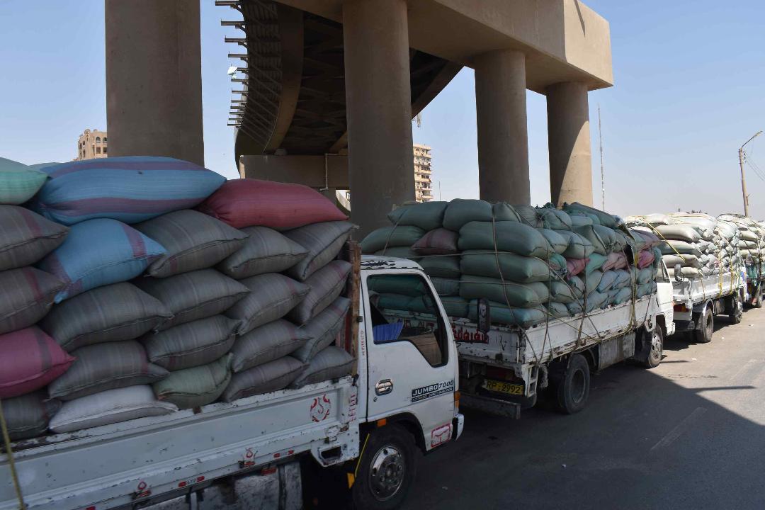 شون وصوامع المنيا تستقبل 342 ألف طن من محصول القمح بجميع المراكز