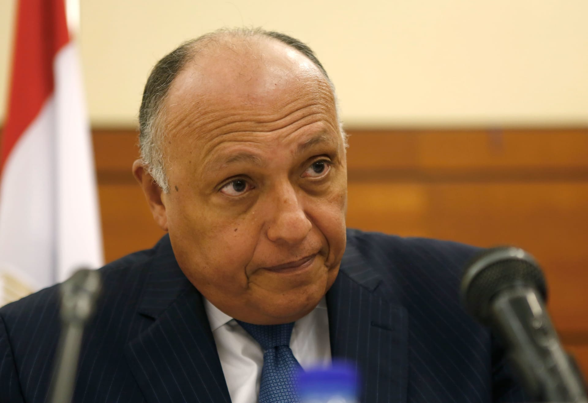 شكري يؤكد ضرورة تحرك شامل لتنفيذ اتفاق باريس
